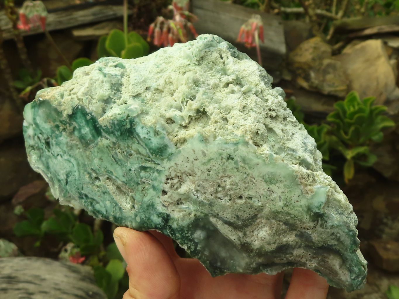 Polished One Side Polished Emerald Mtorolite Plates  x 2 From Mutorashanga, Zimbabwe - Toprock Gemstones and Minerals 
