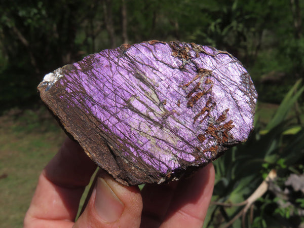 Natural Purpurite Purple Specimens x 4 From Namibia - TopRock
