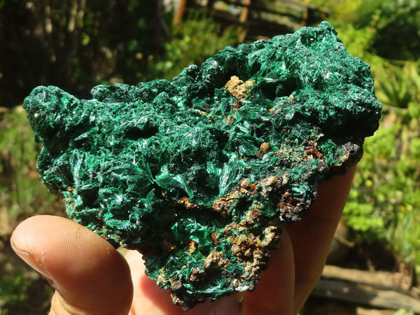 Natural Chatoyant Silky Malachite Specimens  x 4 From Kasompe, Congo - Toprock Gemstones and Minerals 