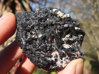 Natural Schorl Black Tourmaline Specimens x 12 From Erongo, Namibia