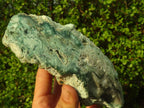 Polished One Side Polished Emerald Mtorolite Plates  x 2 From Mutorashanga, Zimbabwe - Toprock Gemstones and Minerals 