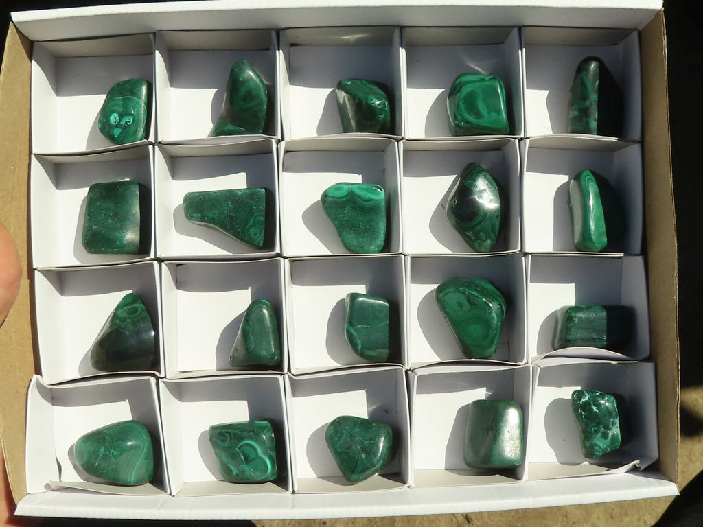 Polished  Small Flower Malachite Free Forms  x 20 From Congo - Toprock Gemstones and Minerals 