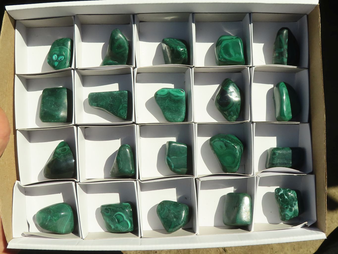 Polished  Small Flower Malachite Free Forms  x 20 From Congo - Toprock Gemstones and Minerals 