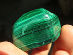 Polished  Small Flower Malachite Free Forms  x 20 From Congo - Toprock Gemstones and Minerals 