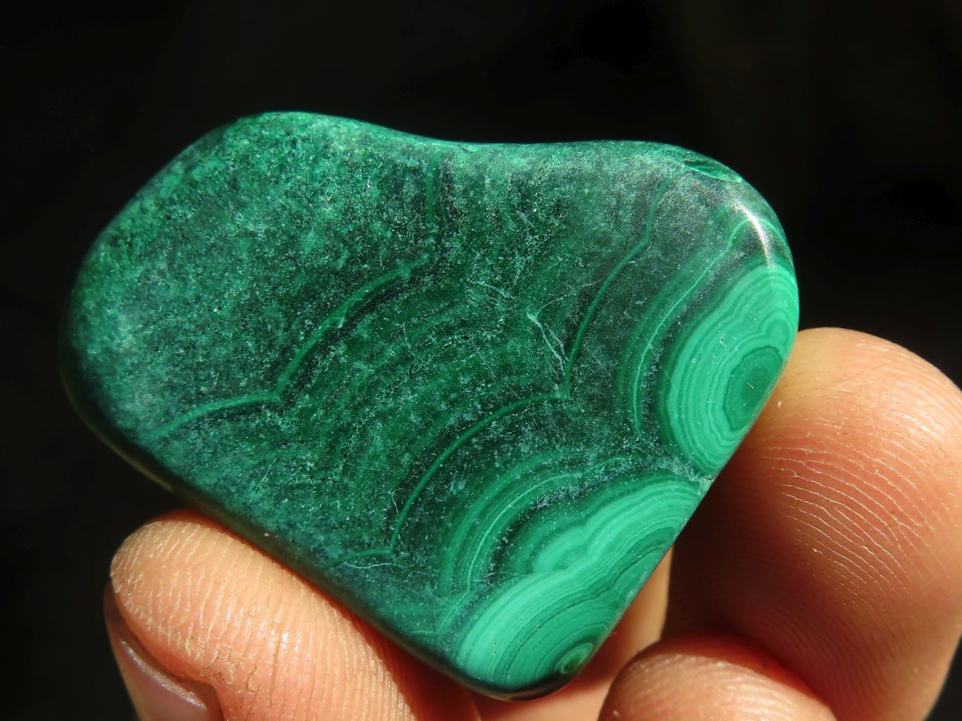 Polished  Small Flower Malachite Free Forms  x 20 From Congo - Toprock Gemstones and Minerals 