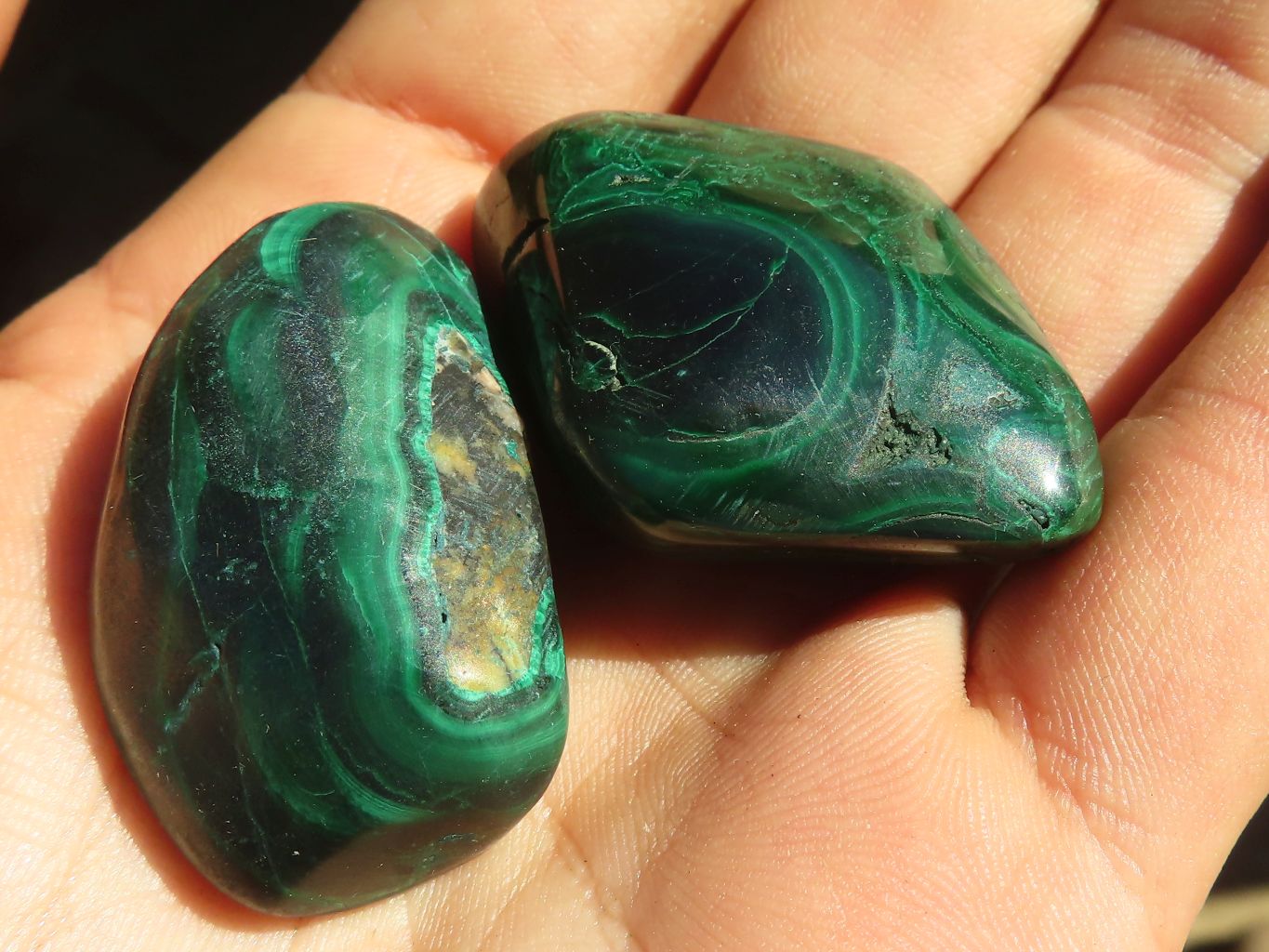 Polished  Small Flower Malachite Free Forms  x 20 From Congo - Toprock Gemstones and Minerals 
