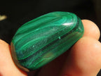 Polished  Small Flower Malachite Free Forms  x 20 From Congo - Toprock Gemstones and Minerals 