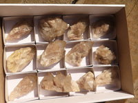 Natural Cascading White Phantom Smokey Quartz Crystals x 12 From Luena, Congo - Toprock Gemstones and Minerals 
