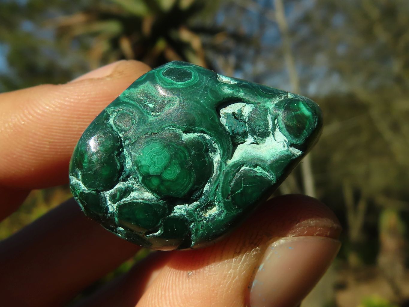 Polished  Small Flower Malachite Free Forms  x 20 From Congo - Toprock Gemstones and Minerals 