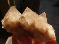 Natural Cascading White Phantom Smokey Quartz Crystals x 12 From Luena, Congo - Toprock Gemstones and Minerals 