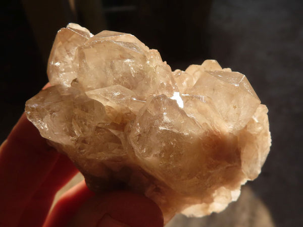Natural Cascading White Phantom Smokey Quartz Crystals x 12 From Luena, Congo - Toprock Gemstones and Minerals 