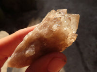 Natural Cascading White Phantom Smokey Quartz Crystals x 12 From Luena, Congo - Toprock Gemstones and Minerals 