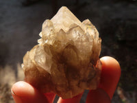 Natural Cascading White Phantom Smokey Quartz Crystals x 12 From Luena, Congo - Toprock Gemstones and Minerals 