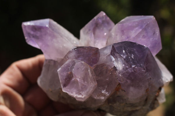 Natural Stunning Selection Of Jacaranda Amethyst Clusters  x 3 From Mumbwa, Zambia