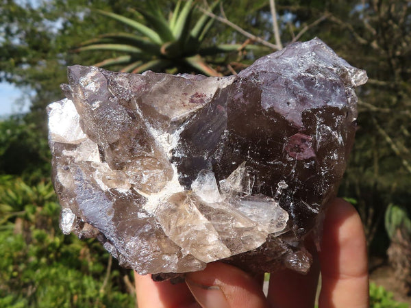 Natural Large Smokey Quartz Crystals  x 4 From Zomba, Malawi - Toprock Gemstones and Minerals 