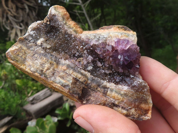 Natural Amethyst In Basalt Geode Specimens  x 12 From Zululand, South Africa - TopRock