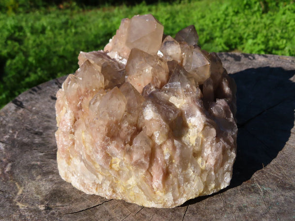 Natural Smokey Phantom Quartz Cluster x 1 From Lwena, Congo - TopRock