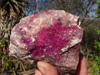 Natural Pink Salrose Cobaltion Dolomite Specimens x 6 From Kakanda, Congo - Toprock Gemstones and Minerals 