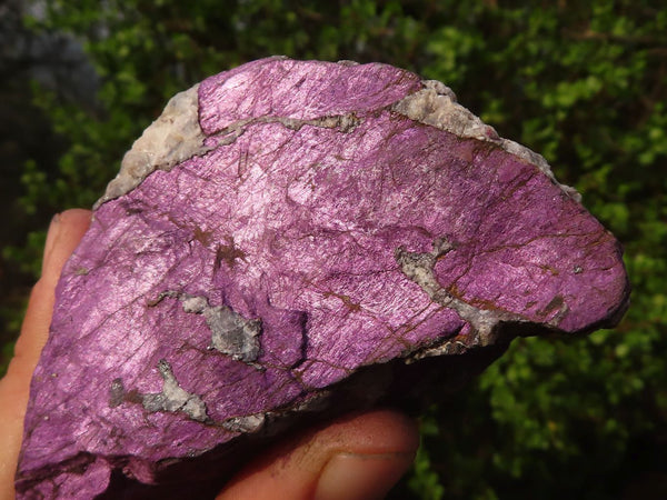 Natural Metallic Purpurite Cobbed Specimens  x 6 From Erongo, Namibia - Toprock Gemstones and Minerals 