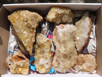 Natural Golden Limonite / Lemonite Quartz Clusters  x 7 From Mwinilunga, Zambia - TopRock