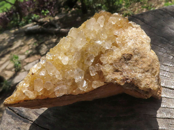 Natural Golden Limonite / Lemonite Quartz Clusters  x 7 From Mwinilunga, Zambia - TopRock