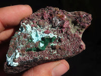 Natural Pink Salrose Cobaltion Dolomite Specimens x 6 From Kakanda, Congo - Toprock Gemstones and Minerals 