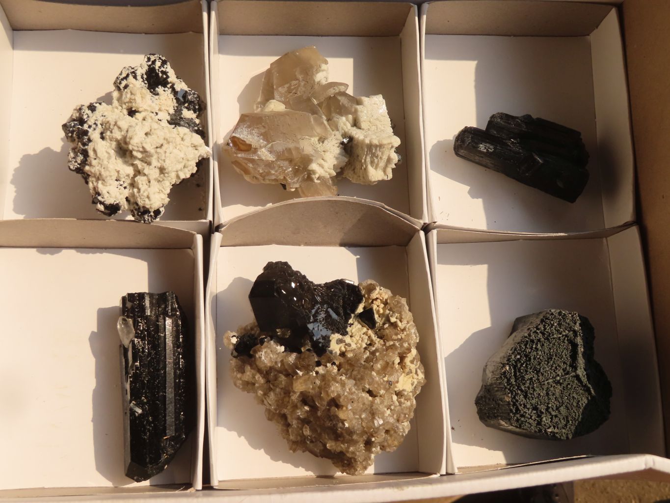 Natural Schorl Black Tourmaline Specimens x 6 From Erongo, Namibia - Toprock Gemstones and Minerals 