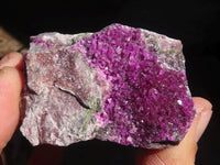 Natural Pink Salrose Cobaltion Dolomite Specimens x 6 From Kakanda, Congo - Toprock Gemstones and Minerals 