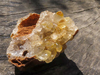 Natural Golden Limonite / Lemonite Quartz Clusters  x 7 From Mwinilunga, Zambia - TopRock