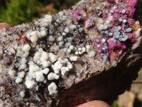 Natural Pink Salrose Cobaltion Dolomite Specimens x 6 From Kakanda, Congo - Toprock Gemstones and Minerals 