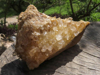 Natural Golden Limonite / Lemonite Quartz Clusters  x 7 From Mwinilunga, Zambia - TopRock