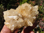 Natural Small Clear Quartz Clusters  x 24 From Madagascar - Toprock Gemstones and Minerals 