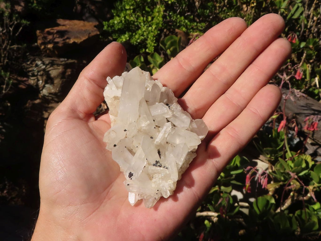 Natural Small Clear Quartz Clusters  x 24 From Madagascar - Toprock Gemstones and Minerals 