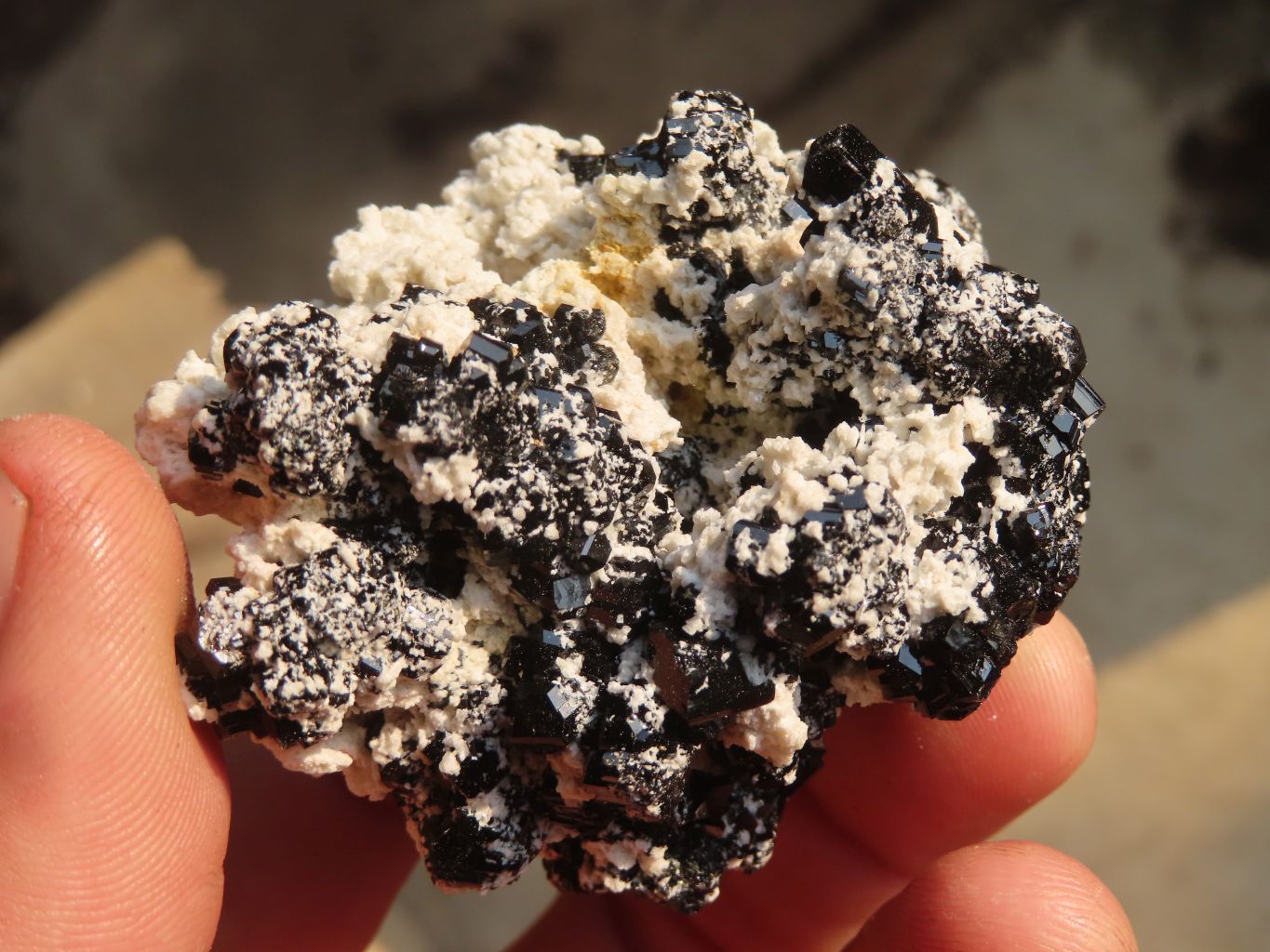 Natural Schorl Black Tourmaline Specimens x 6 From Erongo, Namibia - Toprock Gemstones and Minerals 