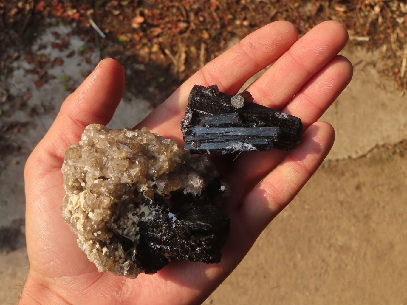 Natural Schorl Black Tourmaline Specimens x 6 From Erongo, Namibia - Toprock Gemstones and Minerals 