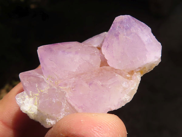 Natural Single Spirit Amethyst Quartz Crystals  x 70 From Boekenhouthoek, South Africa - Toprock Gemstones and Minerals 