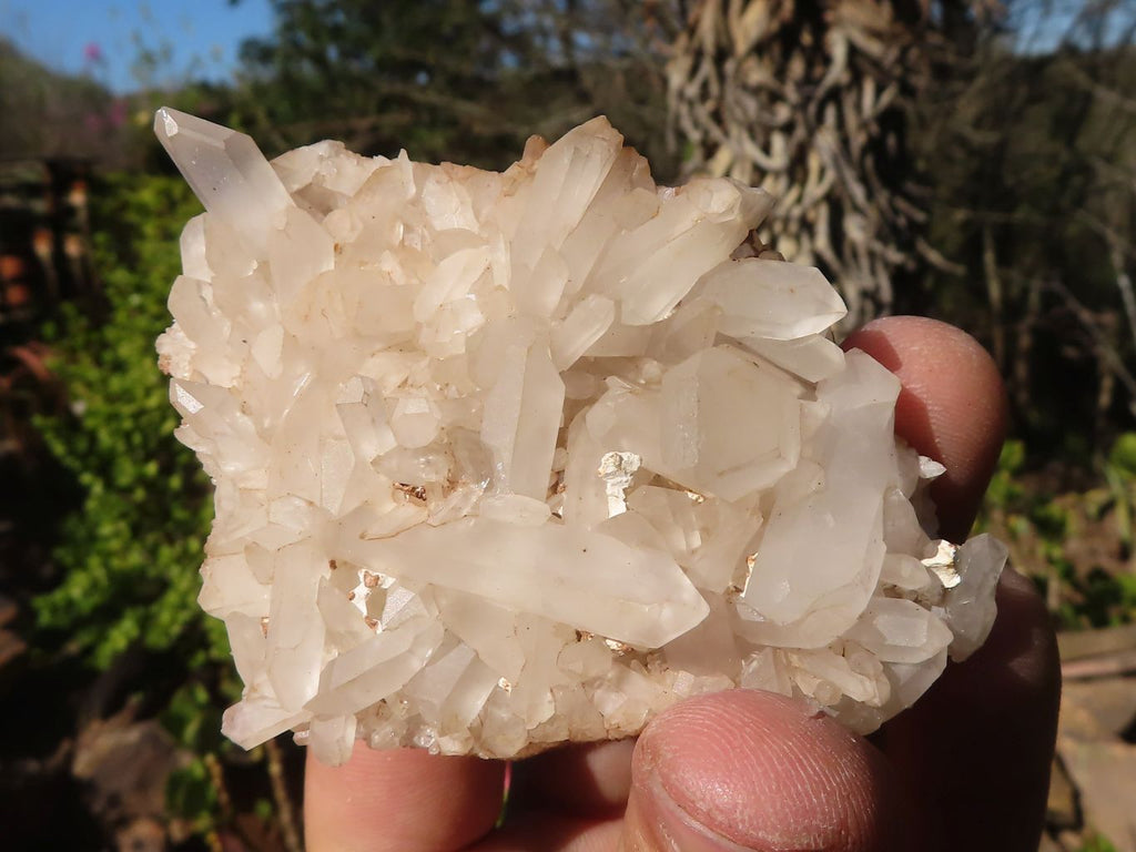 Natural Small Clear Quartz Clusters  x 24 From Madagascar - Toprock Gemstones and Minerals 