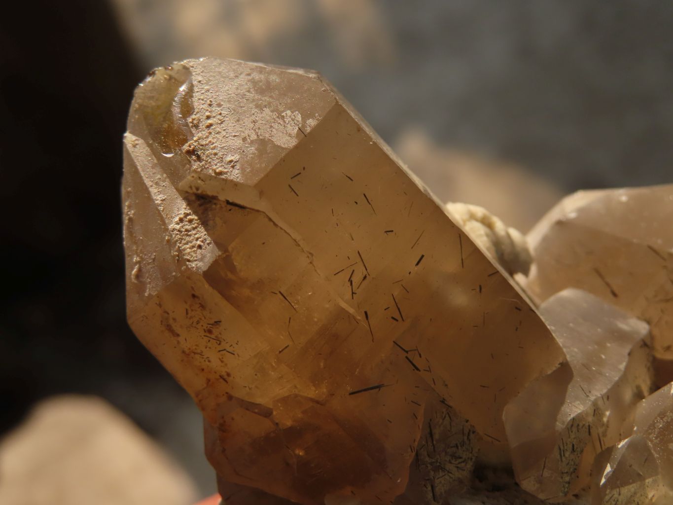 Natural Schorl Black Tourmaline Specimens x 6 From Erongo, Namibia - Toprock Gemstones and Minerals 
