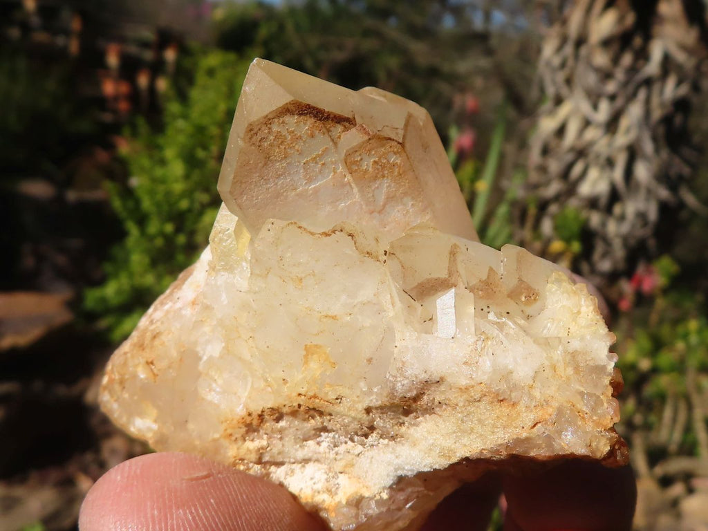 Natural Small Clear Quartz Clusters  x 24 From Madagascar - Toprock Gemstones and Minerals 