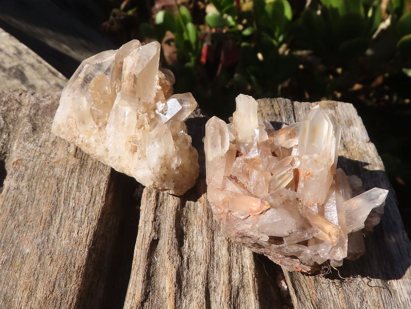 Natural Small Clear Quartz Clusters  x 24 From Madagascar - Toprock Gemstones and Minerals 