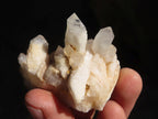 Natural Small Clear Quartz Clusters  x 24 From Madagascar - Toprock Gemstones and Minerals 