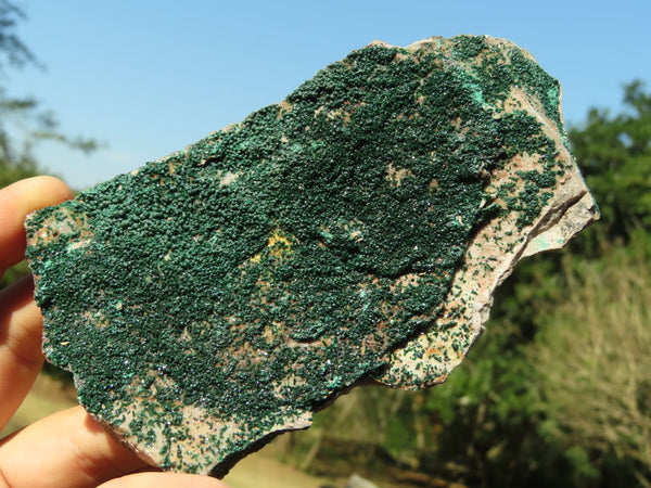 Natural Crystalline Drusy Malachite on Host Matrix Specimens x 3 From Tenke Fungurume, Congo - TopRock
