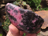 Polished One Side Polished Rhodonite Free Forms  x 4 From Madagascar - TopRock