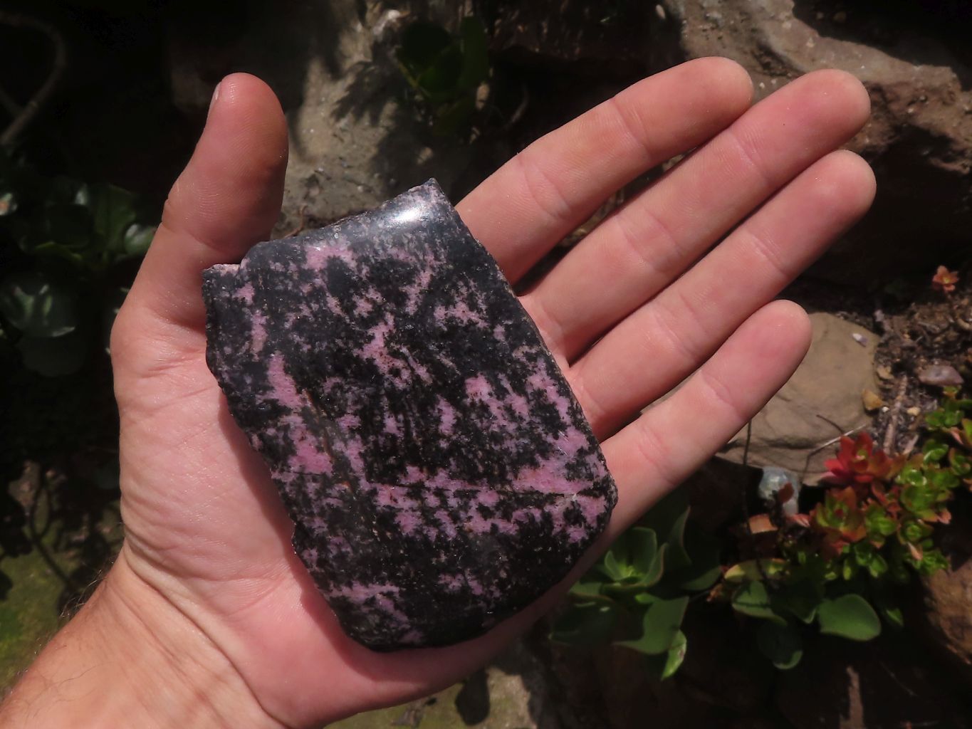 Polished One Side Polished Rhodonite Free Forms  x 4 From Madagascar - TopRock
