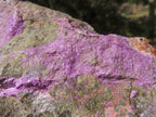 Polished Rough Purple Stichtite / Atlantisite Specimens  x 4 From Barberton, South Africa - TopRock