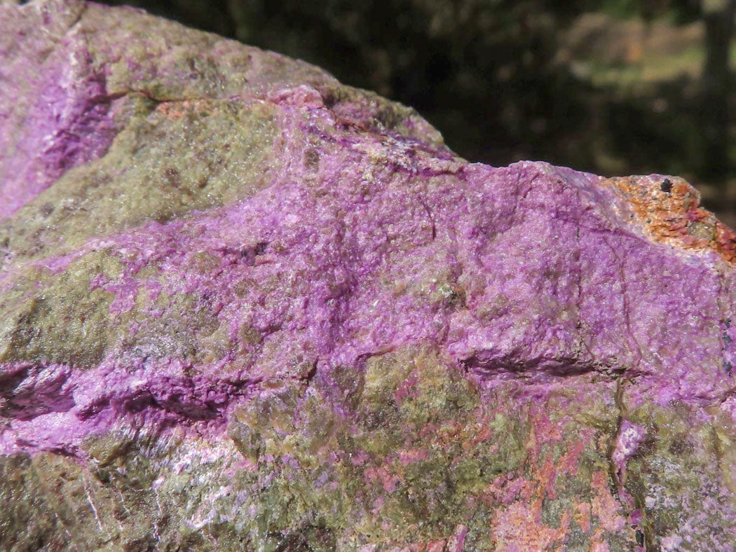 Polished Rough Purple Stichtite / Atlantisite Specimens  x 4 From Barberton, South Africa - TopRock