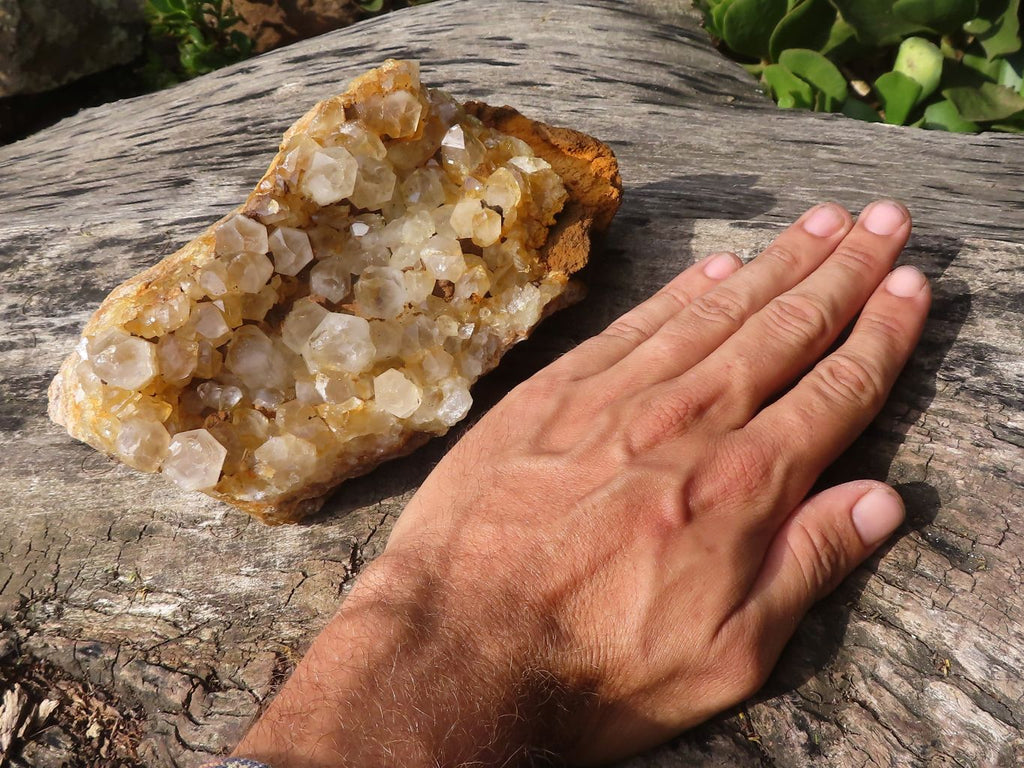 Natural Large Golden Limonite / Lemonite Quartz Clusters x 2 From Zambia - Toprock Gemstones and Minerals 