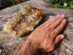 Natural Large Golden Limonite / Lemonite Quartz Clusters x 2 From Zambia - Toprock Gemstones and Minerals 
