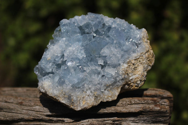 Natural Crystalline Blue Celestite Specimens x 6 From Sakoany, Madagascar