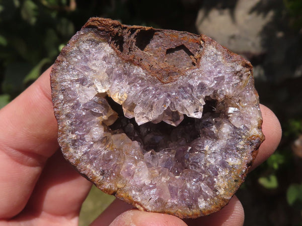 Natural Amethyst Crystal Geode Specimens  x 8 From Zululand, South Africa - TopRock